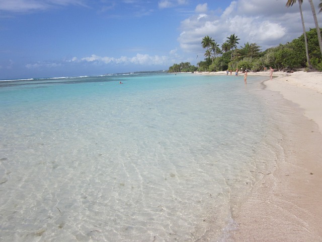 caribe precisa de visto