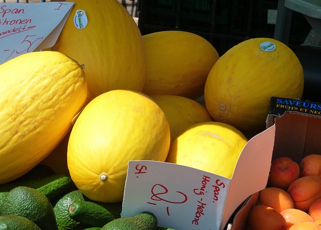 Como escolher melão amarelo