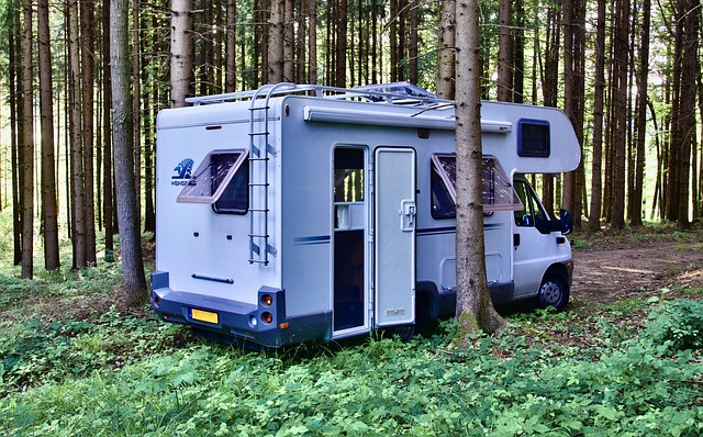 janela motorhome