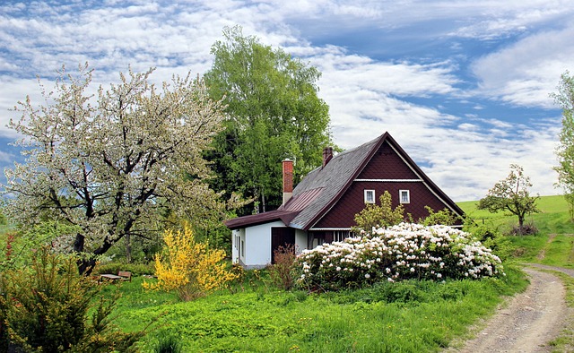 casa de madeira pré-fabricada